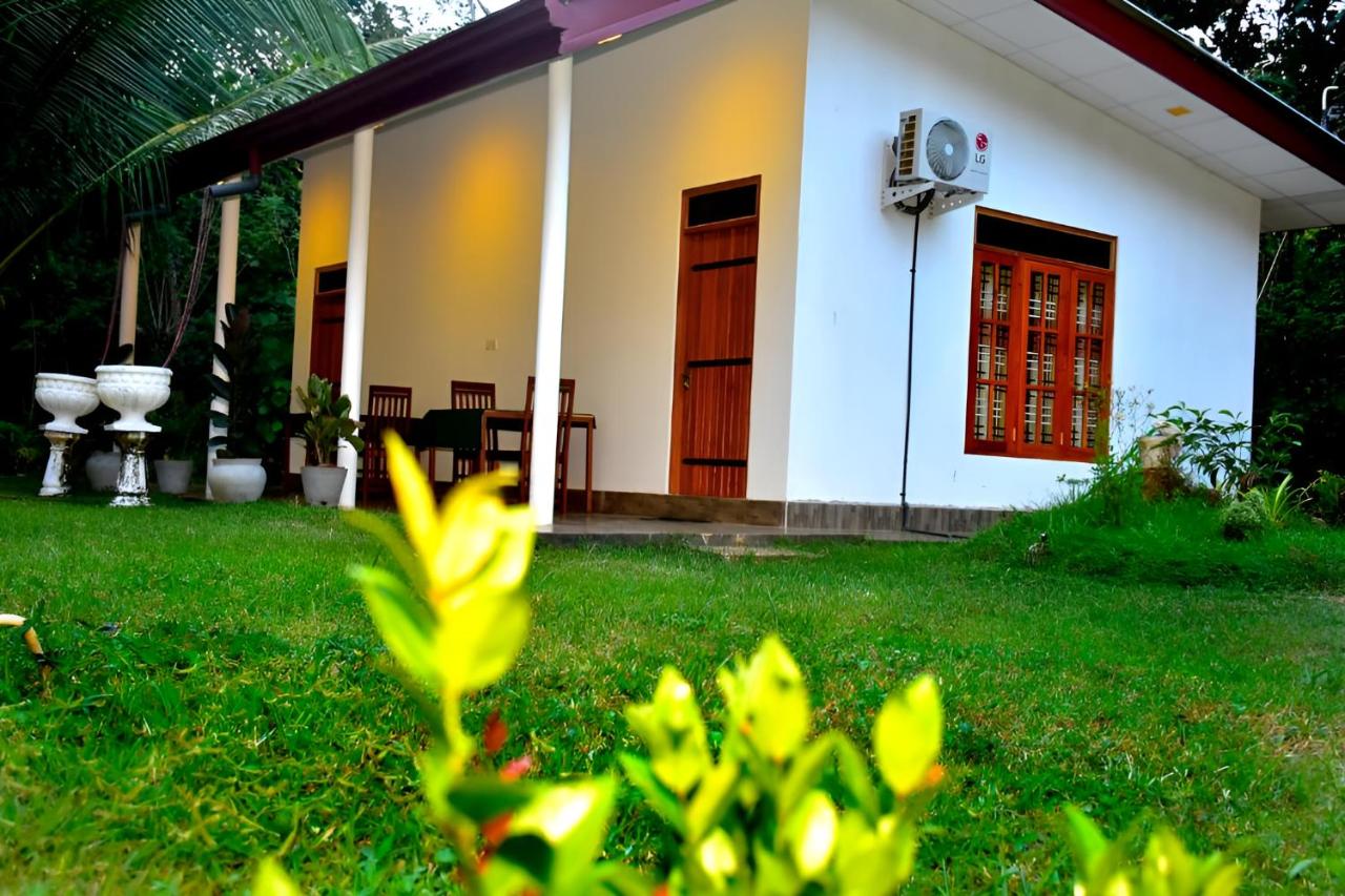 Little Ele Safari Lodge - B&B