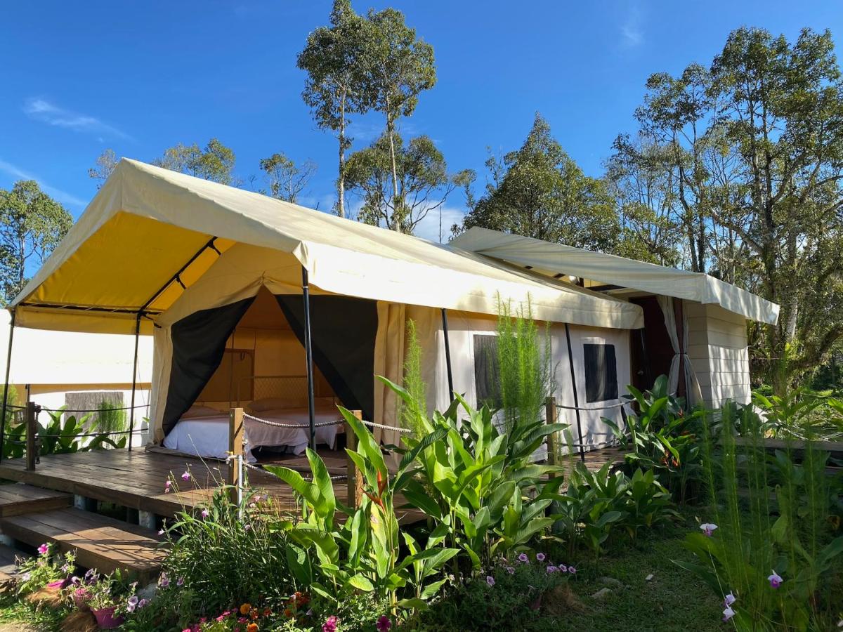 Canopy Villa Nuang Hill - B&B