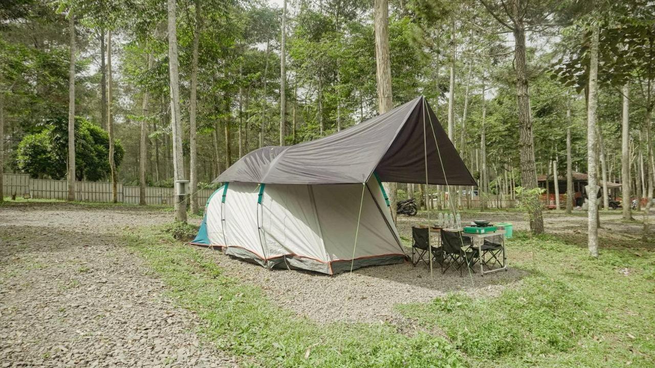 Tent