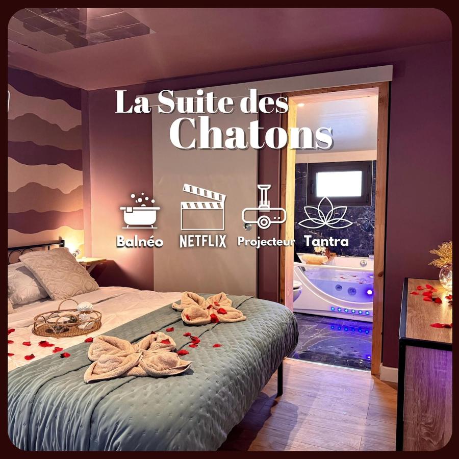 La Suite romantique des Chatons - B&B