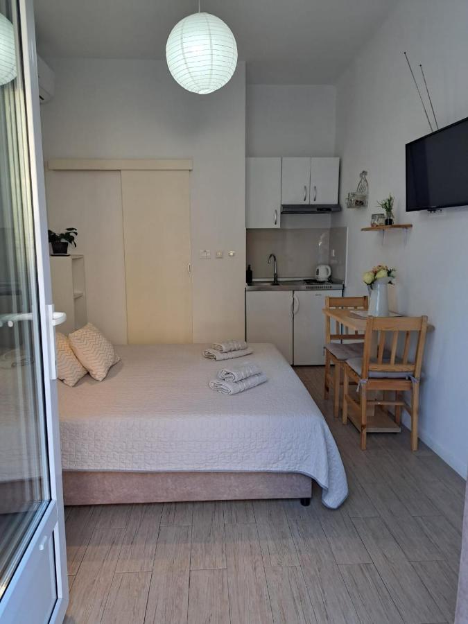 Monolocale con Terrazza Condivisa (A1)