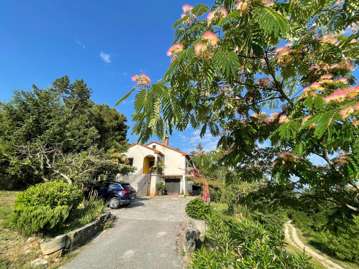 Santa Lucia App - Bed and Breakfast
