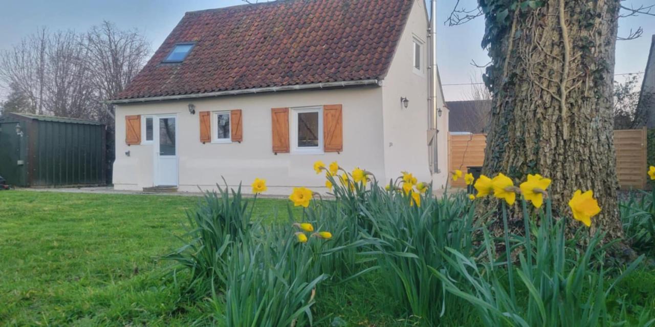 Little House - B&B Zutkerque