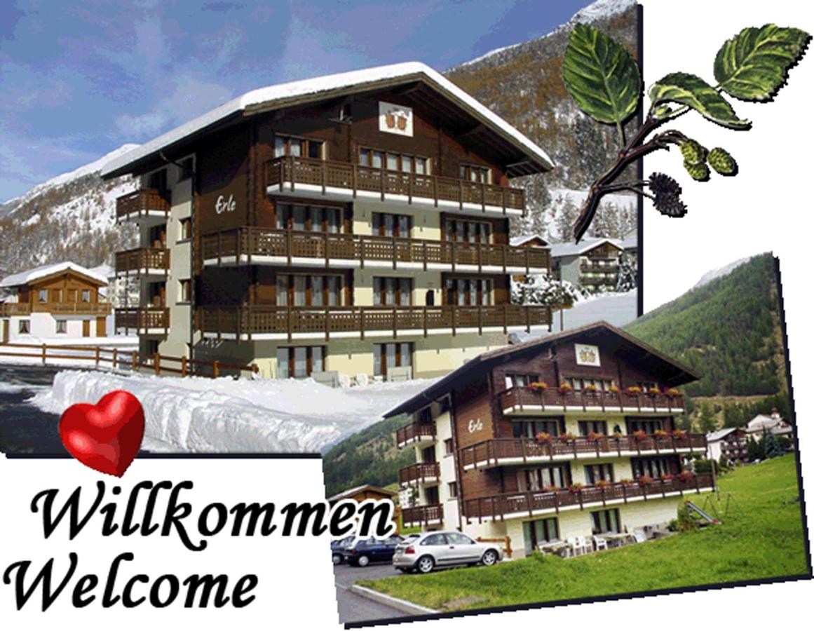 Haus Erle - B&B Saas-Grund