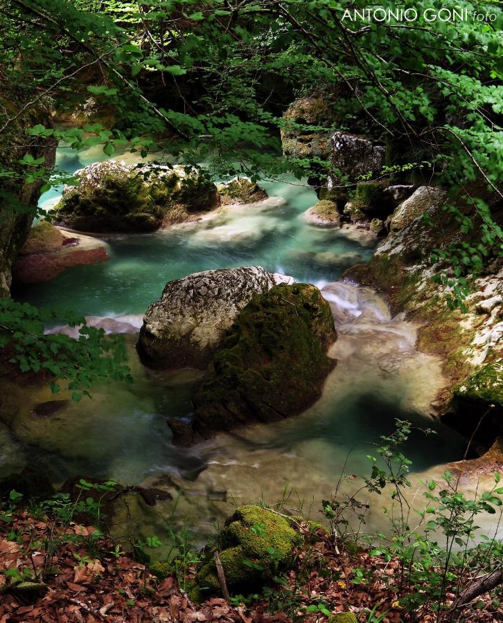 Nekasenea II - Bed and Breakfast Garísoain