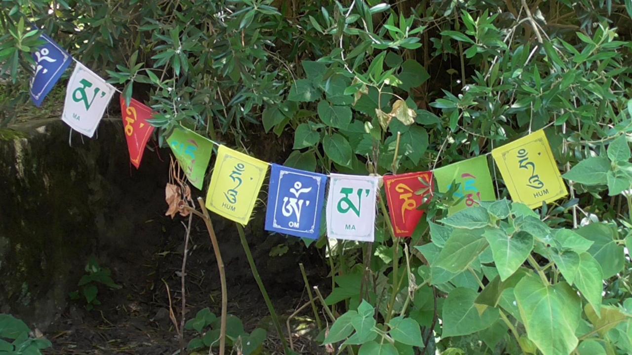 Tienda de Campaña en Ecoaldea Vegana Espiral en Plena naturaleza con comida y cena incluida - Chambres d'hôtes Passos