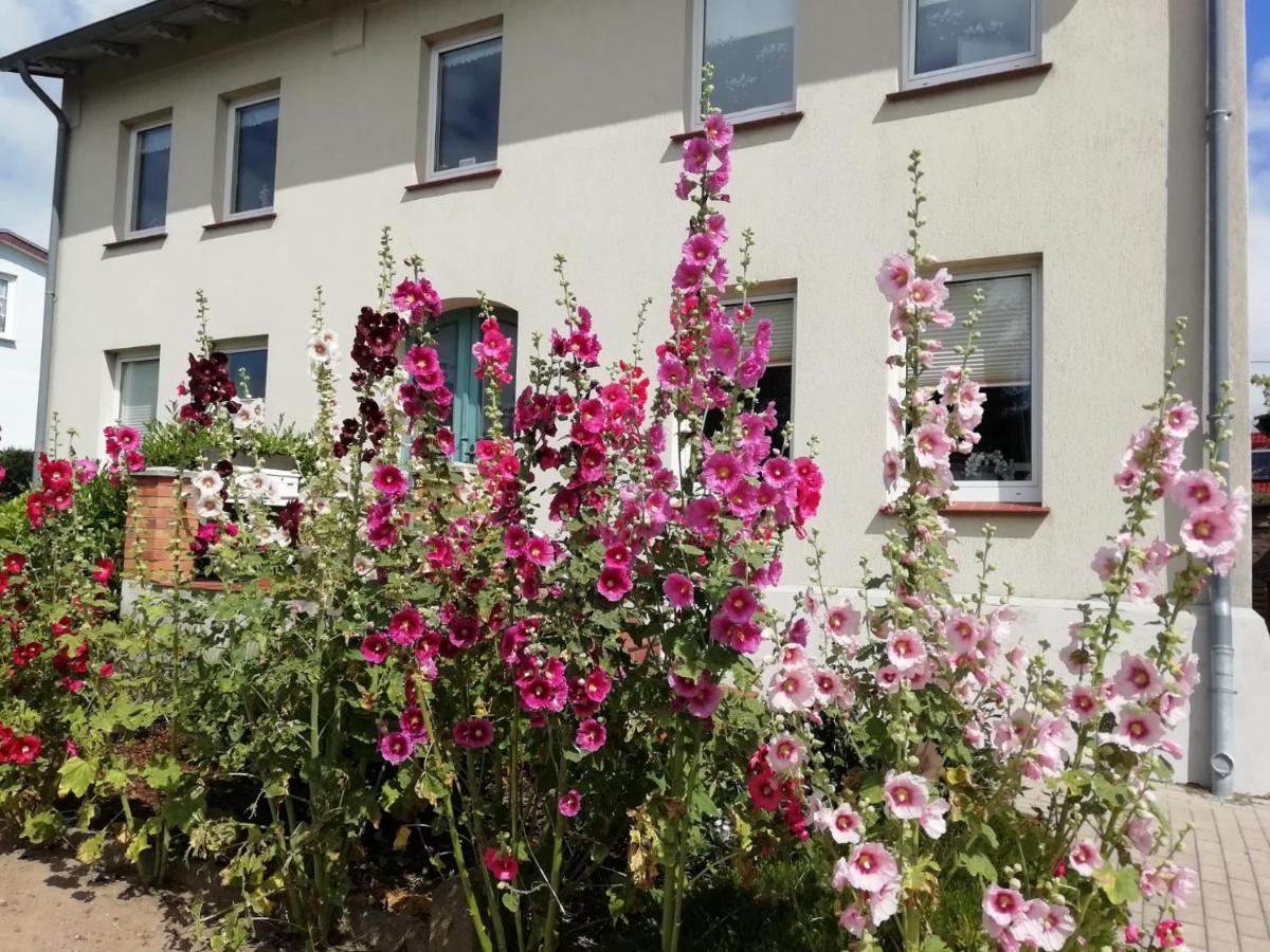 Ferienwohnung ADMIRAL - B&B Ostseebad Kühlungsborn