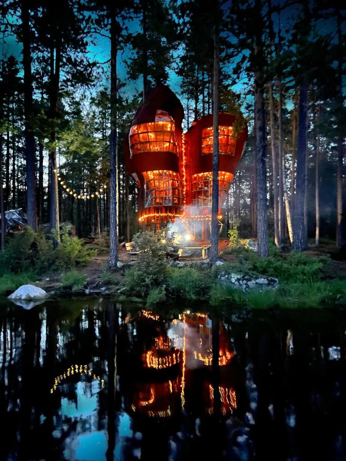 Haven Islands incredible treehouse on private island - B&B