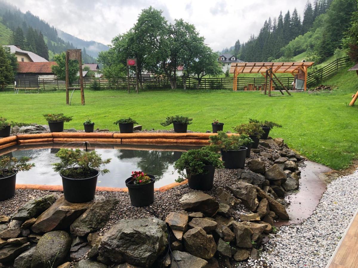 Pietrele Doamnei - B&B Pojorâta