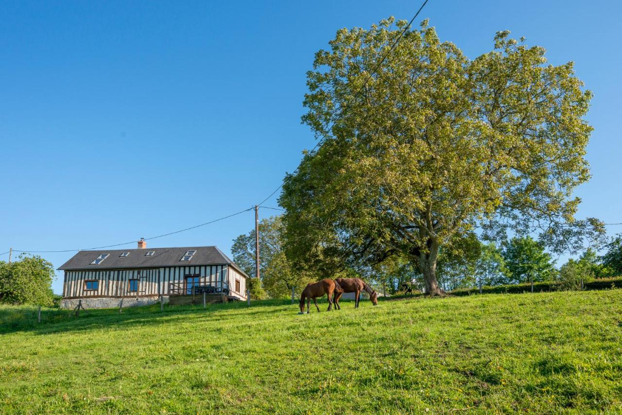 Le Cottage des Trotteurs - Vue panoramique - 6p - Chambres d’hôtes