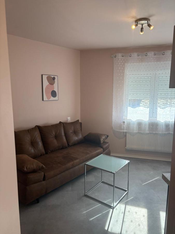 Solesmes splendide appartement - B&B
