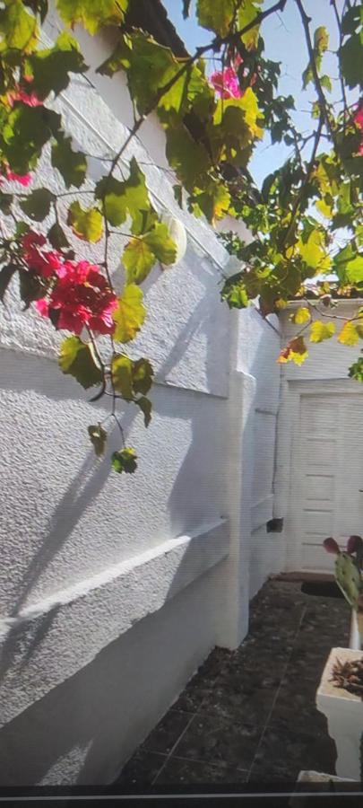 Maison Cozy - B&B