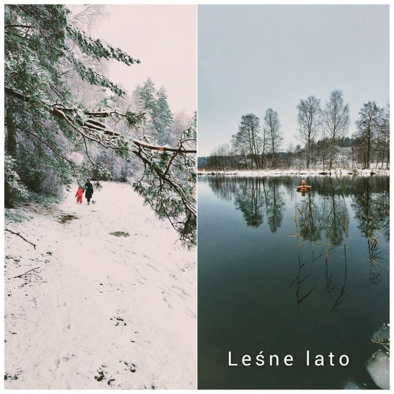 Leśne lato - B&B Loryniec