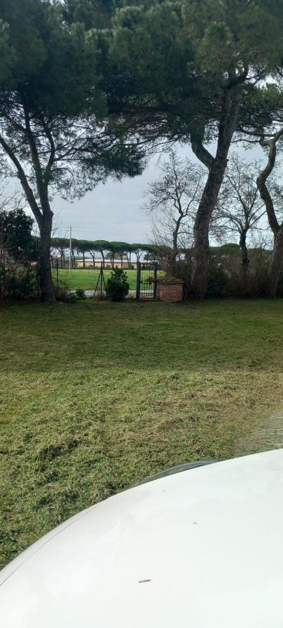 2 girasoli primo piano - B&B
