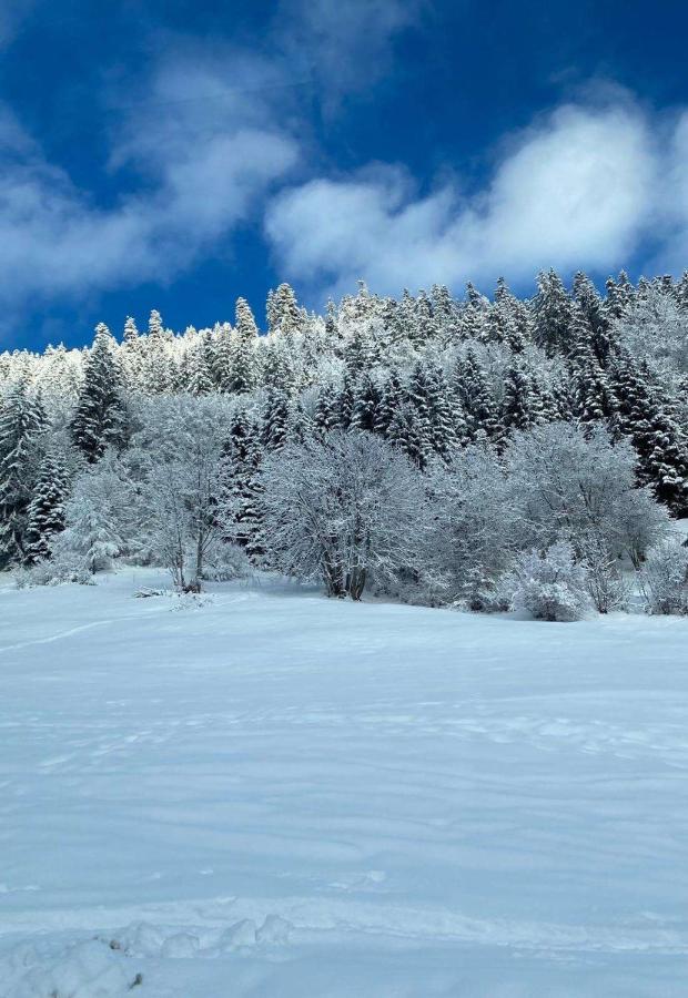 Studio for 2 people with parking - B&B Vionnaz