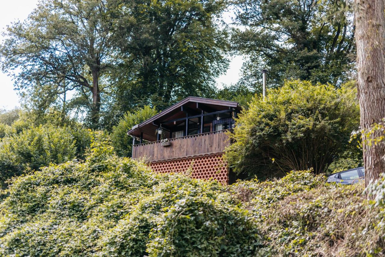 Le Chalet de l'Ours, jacuzzi and private sauna - Bed and Breakfast