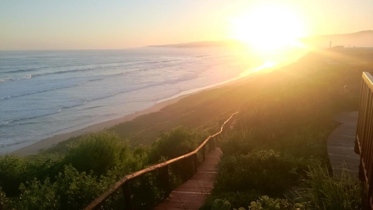 Dolphin Dunes Guesthouse - B&B Wilderness