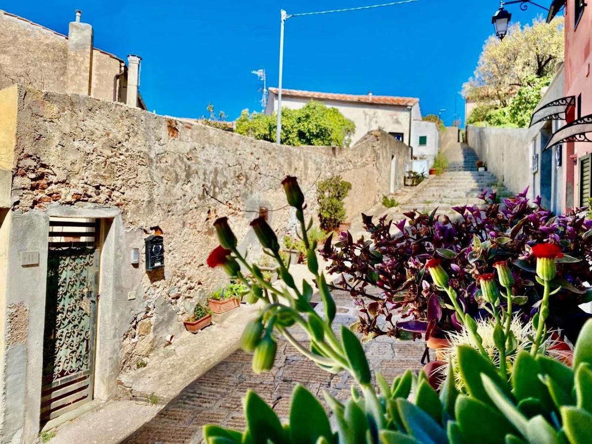 La Cartomante di Bonaparte - B&B