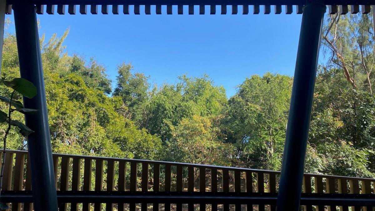 Appartement le 23 - B&B Saint-Paul