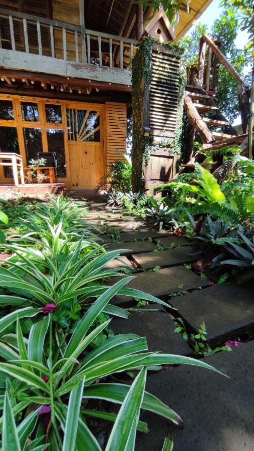 Natural Garden BMT - Bed and Breakfast