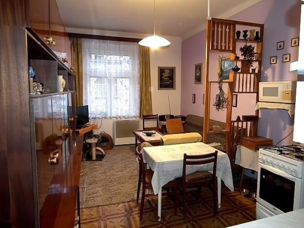 Flat in the heart of Decin close to via ferrata - B&B