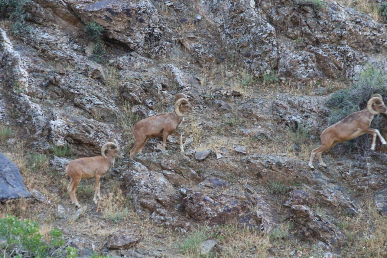 Ikhtiyor guest house - Ferienwohnung Uxum