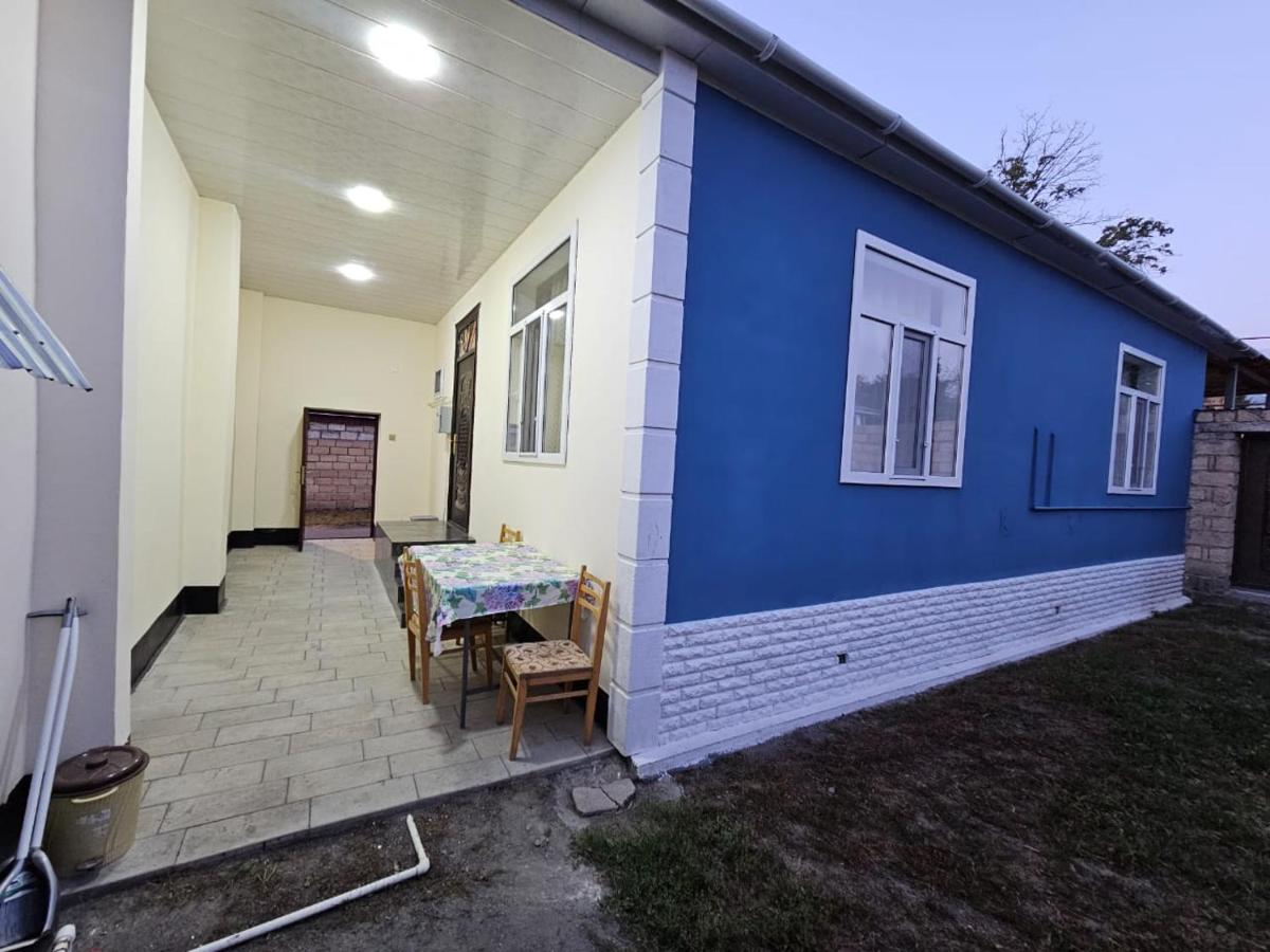 Vusal villa new - B&B