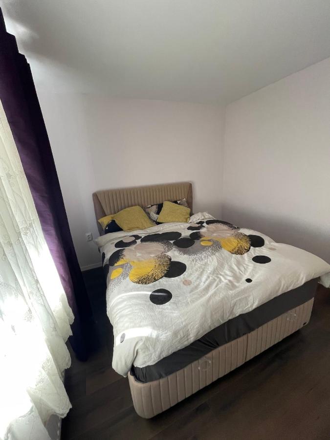 Newly renovated chic apartment close to downtown - B&B Satu Mare