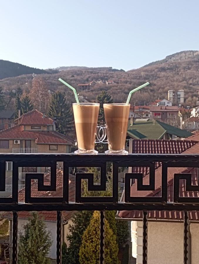 Apartman Biser Vranja - FREE PARKING - CITY CENTER - B&B Vranje