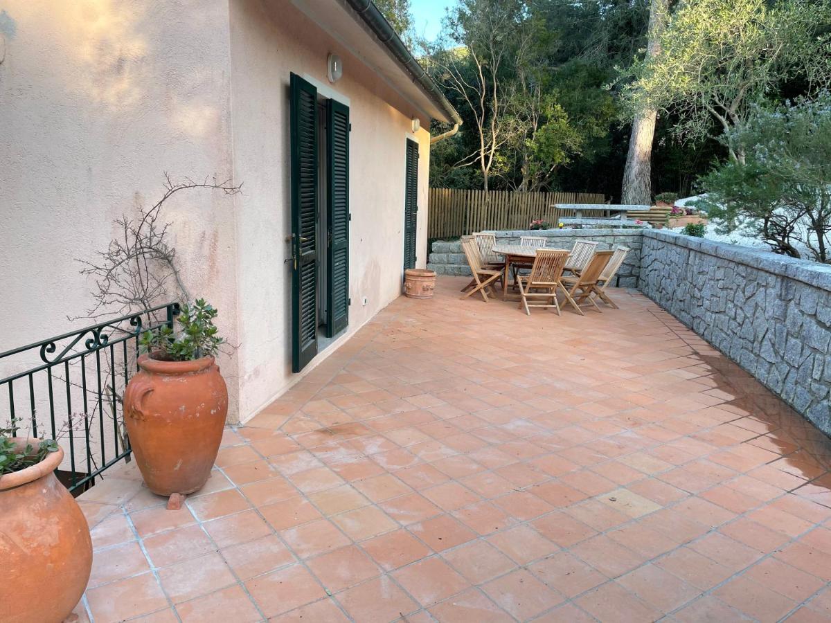 Le Sughere - B&B Procchio