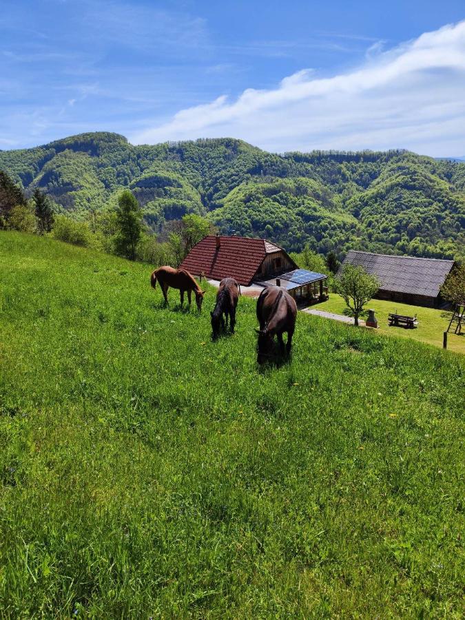 Relaxing Cottage Donacka Gora - B&B
