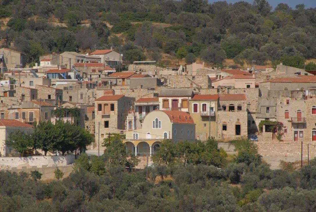 PATRIKA medieval house - B&B