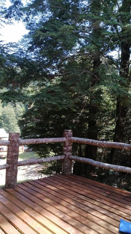 Cabaña en el bosque - B&B