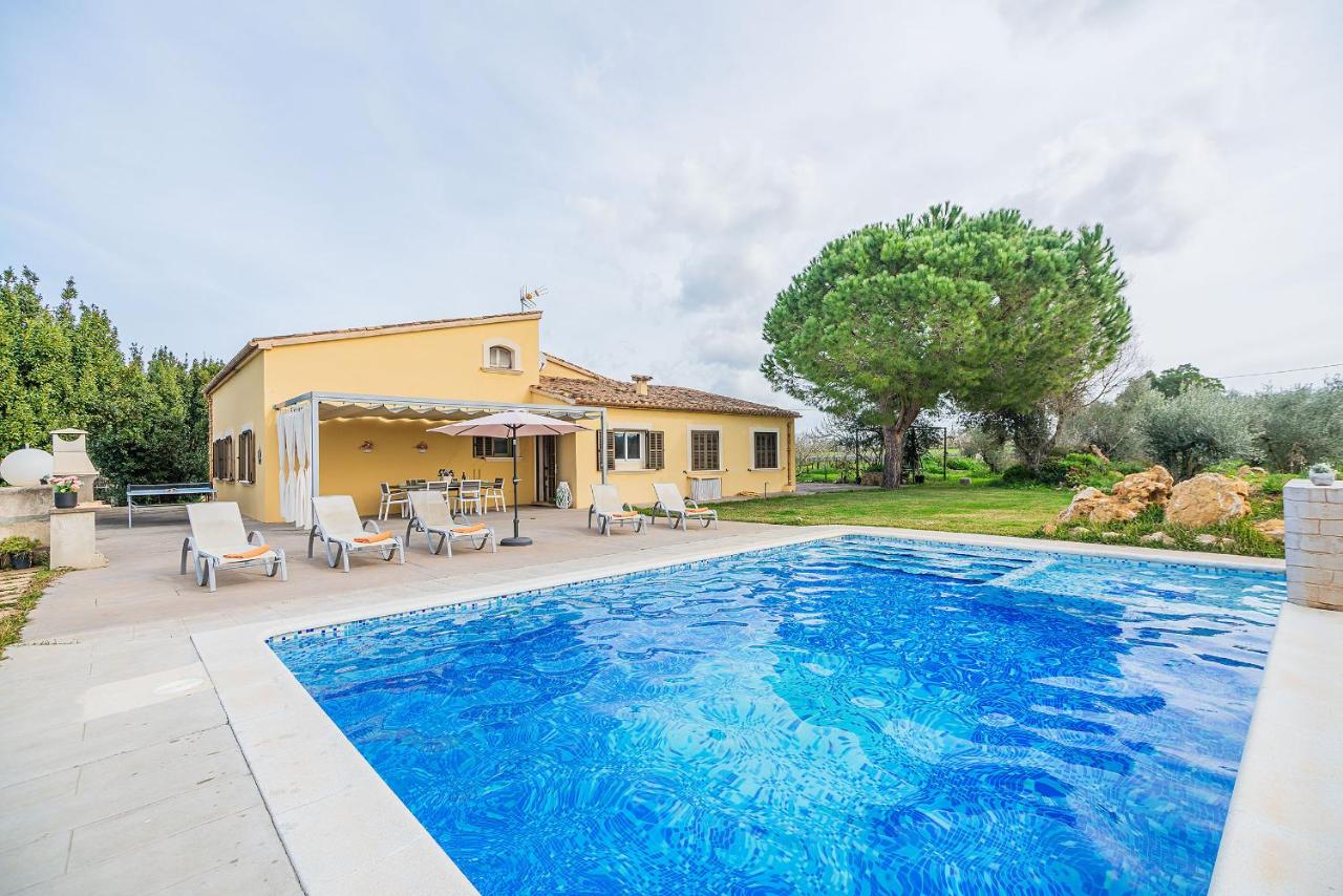 Villa Can Paxaco - By Dream Villas Pollensa - B&B Alcudia