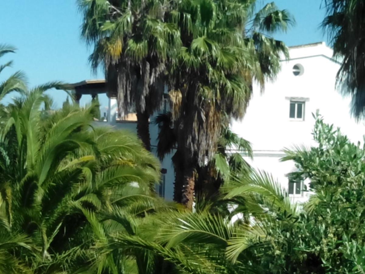 El Olivar de Roche Viejo - B&B Conil de la Frontera