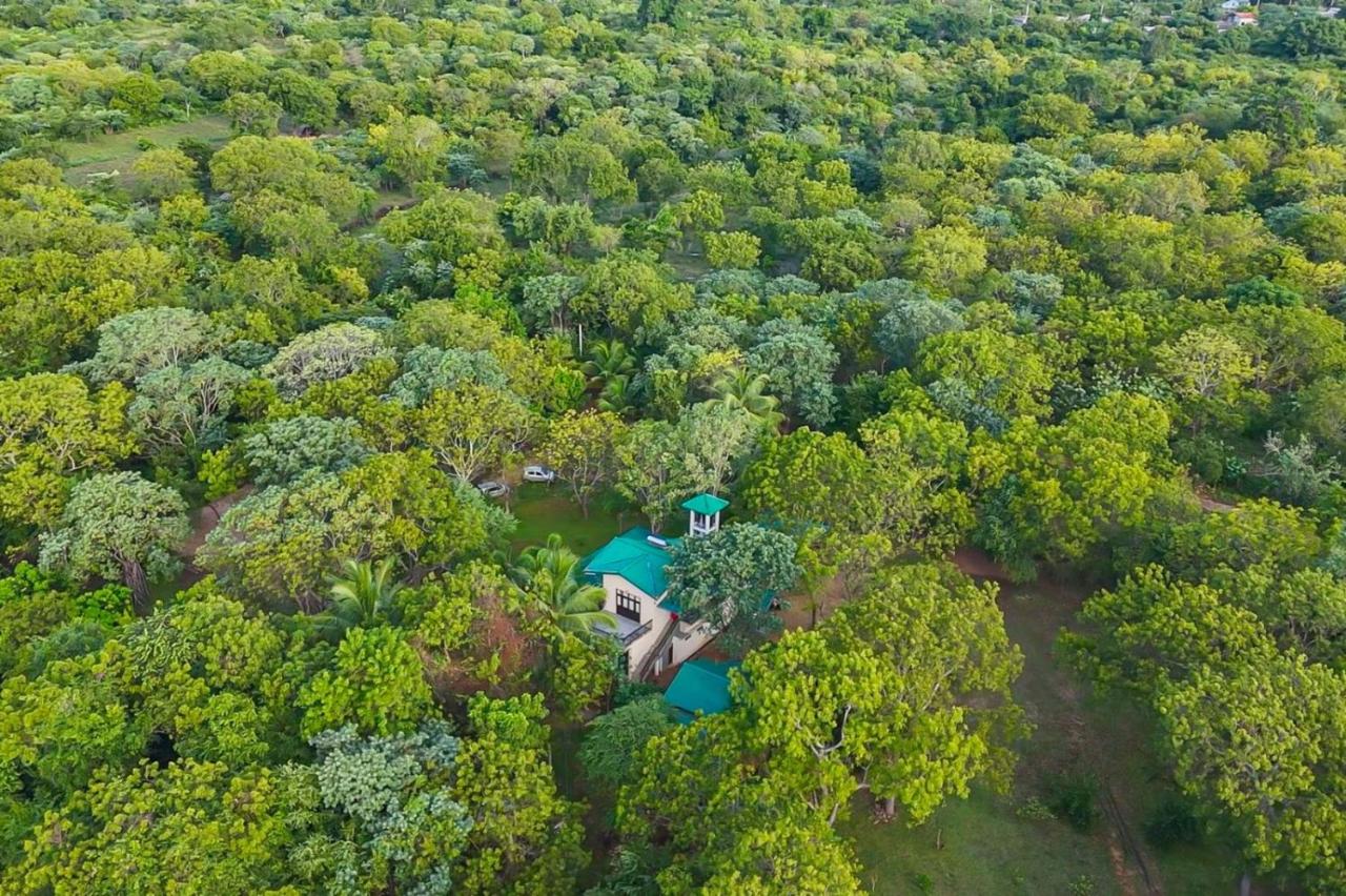 The Yala Vista - B&B Tissamaharama