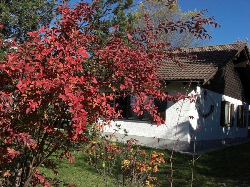 Ferienhaus Gamssteige im Feriendorf Reichenbach G32 - Bed and Breakfast Nesselwang