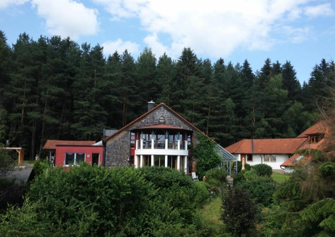 Forest Haven - B&B