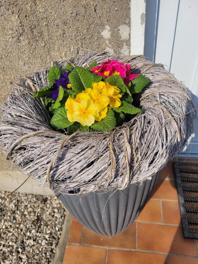 Ferienwohnung Hasenwinkel - B&B