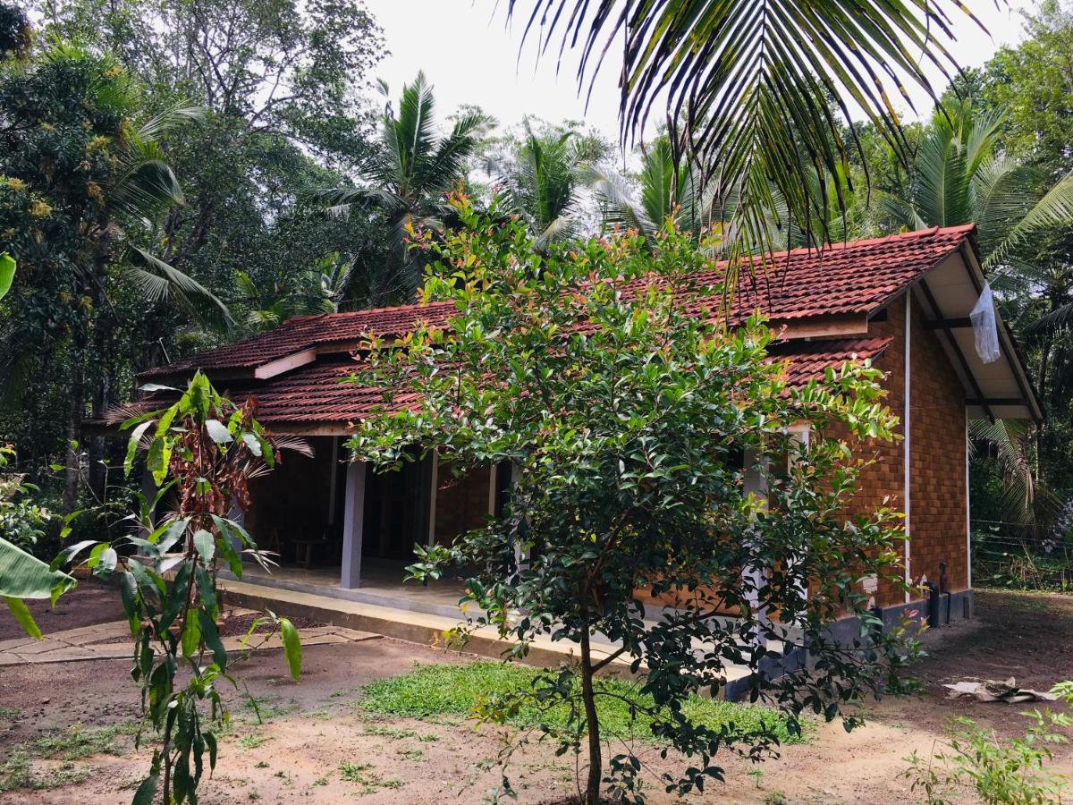 Teaco Villa - B&B Ahangama