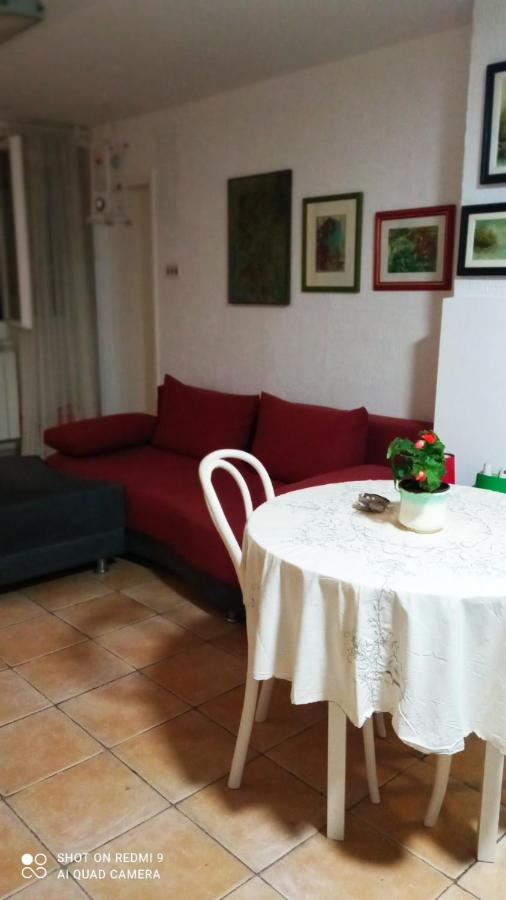 Welcoming 1 studio apartment with terrace - Ferienwohnung