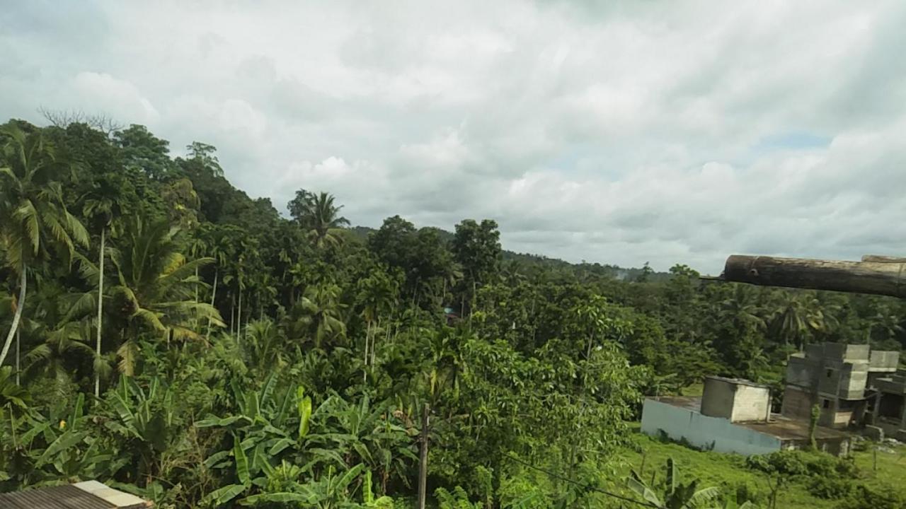 Paddy view guest - Bed and Breakfast