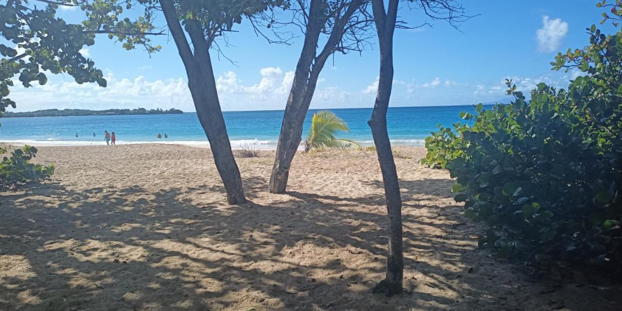 appartement Trinidad - B&B Sainte-Anne