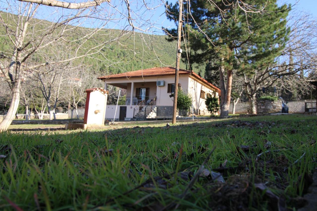 Raise Polydrosos Family Lodge - B&B