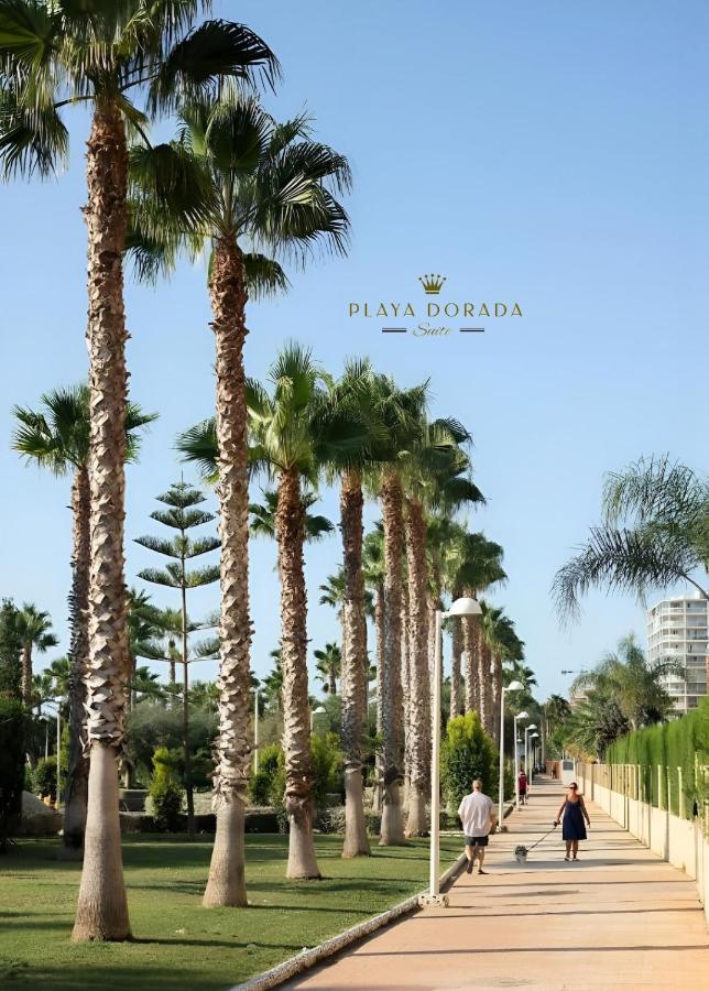 Playa Dorada Suite - Chambres d’hôtes El Borseral