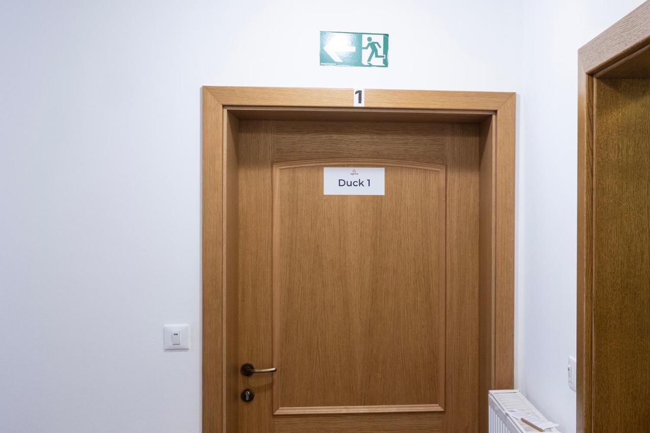 Appartement - Rez-de-Chaussée