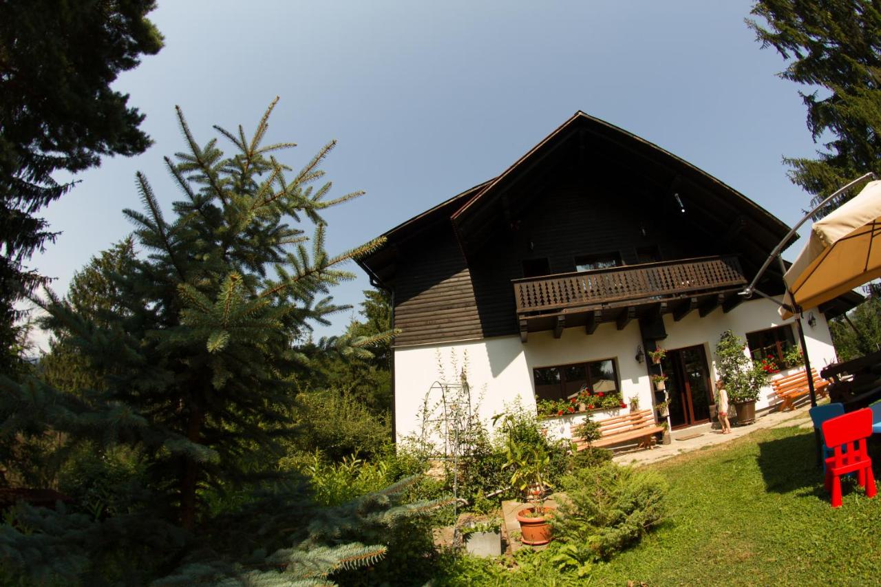 Pension Cabana Ionela - B&B