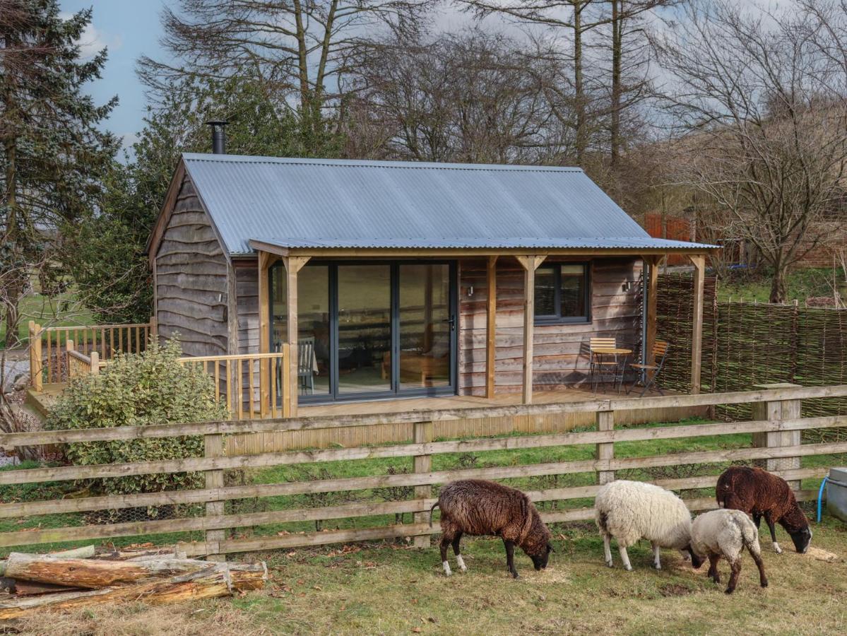 Beech Tree Cabin - B&B