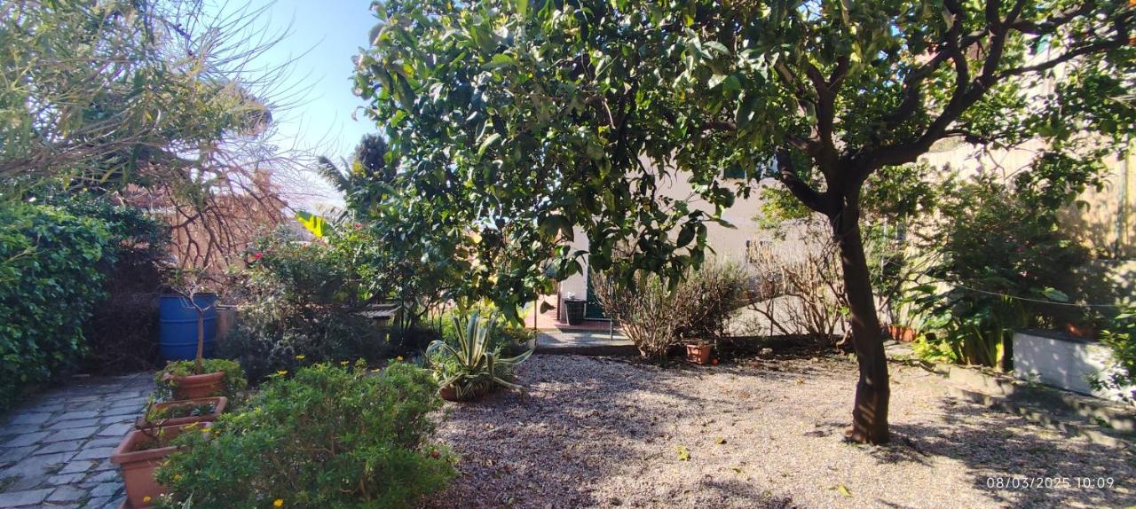 Mulinetti - Bed and Breakfast