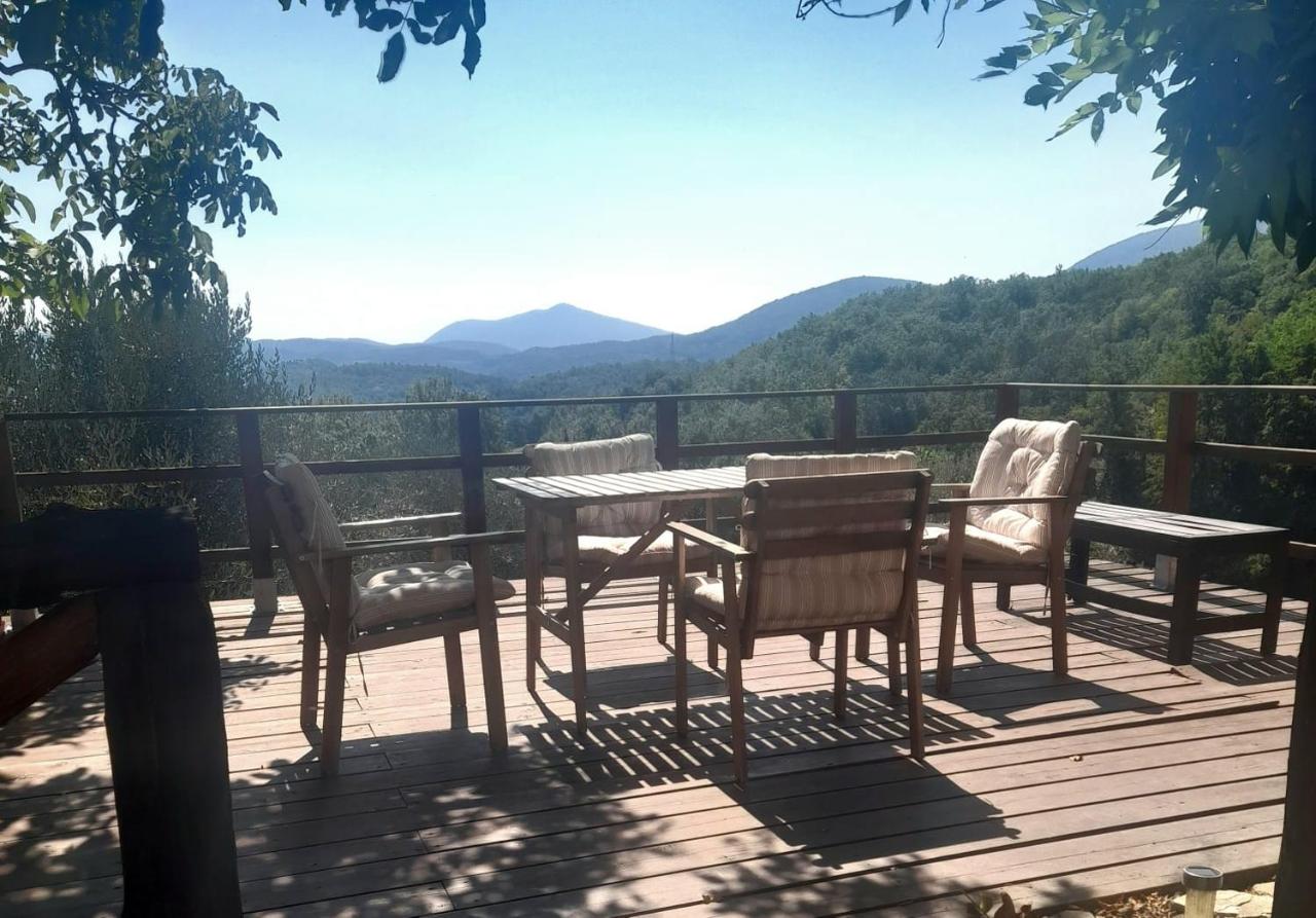 Pulica Holiday Home - B&B